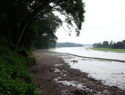 Sungai Citarum: Membersihkan Aliran Sungai yang Tercemar