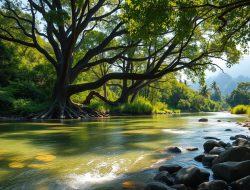 Pesona Alami Sungai-sungai Terbaik di Indonesia