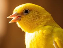 Burung Kenari: Fakta Menarik dan Cara Merawatnya